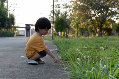 parkta çim çim oynayan mutlu sevimli çocuk