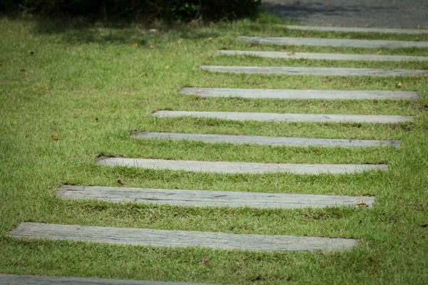 Steinweg im grünen Grasgarten — Stockfoto