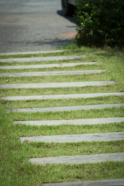 Stone pathway in green grass garden — Stock Photo, Image