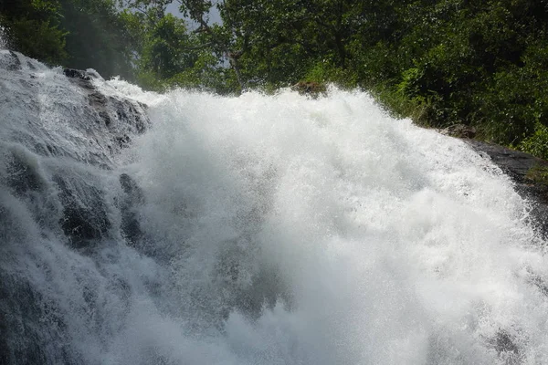 Cascada en el bosque natural, hermoso paisaje —  Fotos de Stock