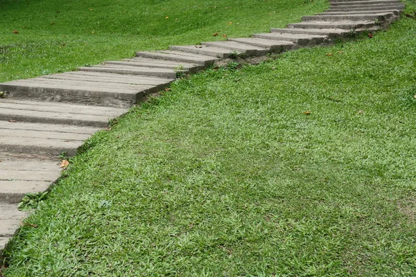 Camino de jardín pasarela en césped de hierba verde — Foto de Stock
