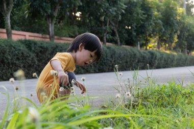 parkta çim çim oynayan mutlu sevimli çocuk