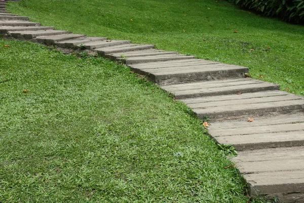 Passarela caminho jardim no relvado de grama verde — Fotografia de Stock