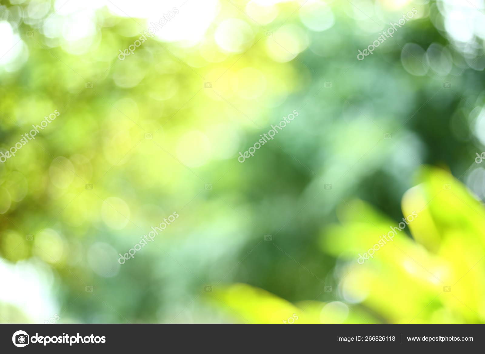 Image blur bokeh light of green nature in the park Stock Photo by ©Sutichak  266826118