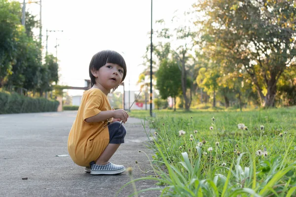 공원에서 잔디 잔디를 재생 행복 귀여운 소년 — 스톡 사진