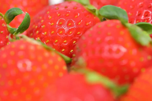 Red strawberry fruit — Stock Photo, Image
