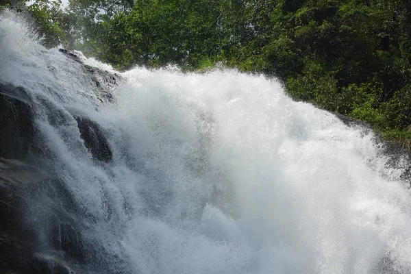 Cascada en el bosque natural, hermoso paisaje —  Fotos de Stock