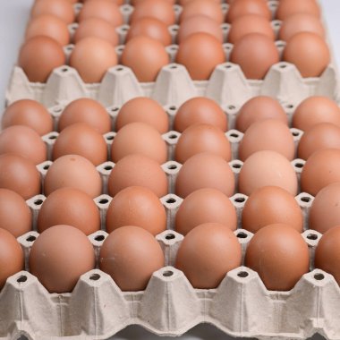 Tüketim endüstrisinin kağıt panelinde taze organik yumurta