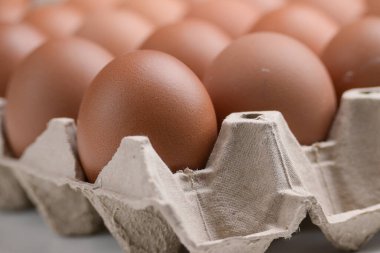 Tüketim endüstrisinin kağıt panelinde taze organik yumurta