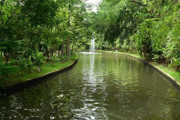 Paisaje Parque Público Por Mañana Con Vista Agua Pequeño Estanque — Foto de Stock