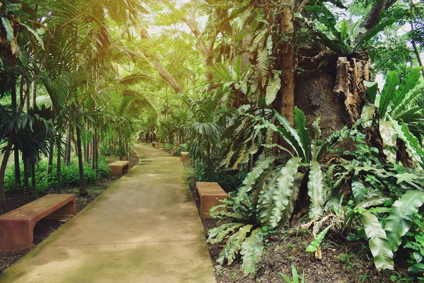 Pad Groene Natuur Van Openbaar Park Van Wandelontspanning — Stockfoto