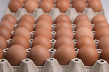 Tüketim endüstrisinin kağıt panelinde taze organik yumurta