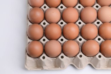 Beyaz arkaplandaki kağıt panelde taze organik yumurta