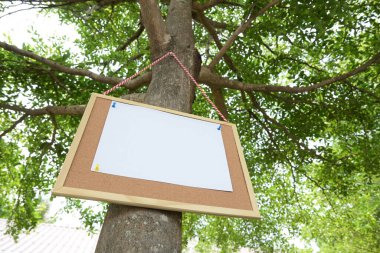 Beyaz kağıt, bahçedeki ağaçta asılı ilan tahtasına boş bir mesaj notu yapıştırır.