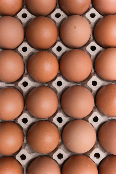 Tüketim Endüstrisinin Kağıt Panelinde Taze Organik Yumurta — Stok fotoğraf