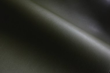 Tasarım için parlak yeşil deri dokusu