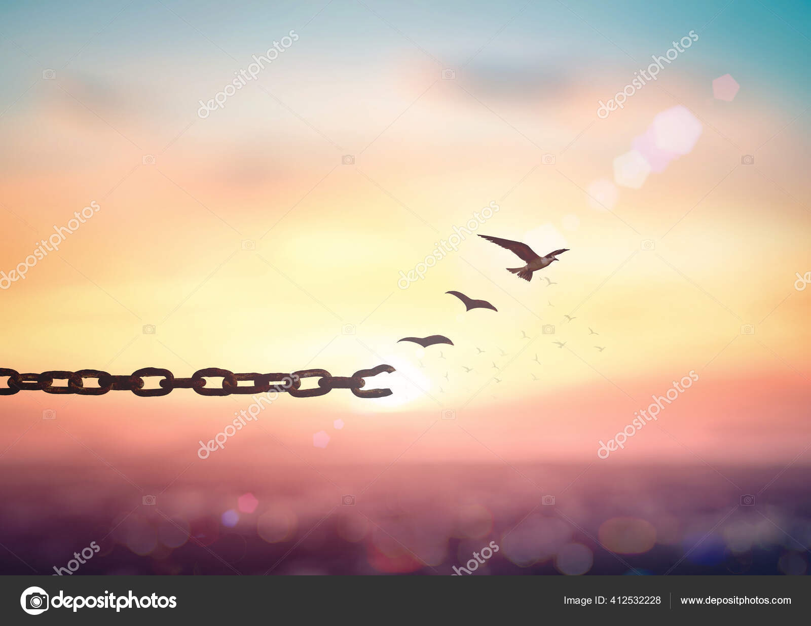 Freedom Concept: Silhouette Of Bird Flying And Broken Chains At Autumn