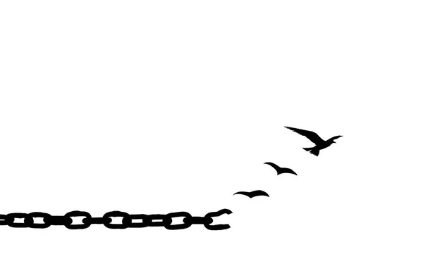 Vrijheidsconcept Silhouet Van Vliegende Vogels Gebroken Kettingen Geïsoleerd Witte Achtergrond — Stockfoto