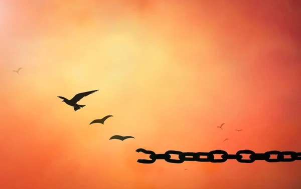 自由の概念 秋の山の日没の背景で鳥の飛行と壊れた鎖のシルエット — ストック写真