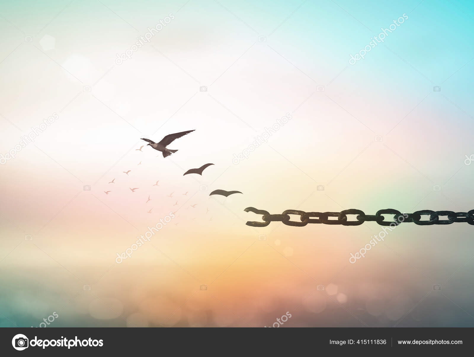 Nuevo Concepto Vida Aves Volando Cadenas Rotas Sobre Naturaleza Borrosa —  Foto de stock #415111836 © choat, image size:1600x1207