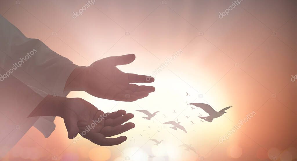 International day for the remembrance of the slave trade and its abolition concept: Silhouette islam open two empty hands with palm up and birds flying over spiritual light background