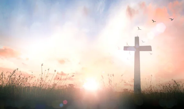アセンションの日のコンセプト 牧草地の上の十字架秋の日の出の背景 — ストック写真
