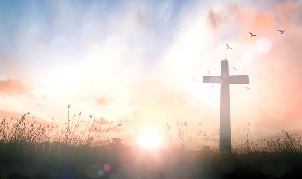 Himmelfahrts Konzept Das Kreuz Auf Der Wiese — Stockfoto