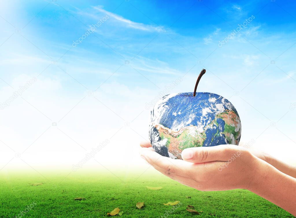 World food day concept: Human hands holding apple fruit of earth globe on green grass and blue sky background. Elements of this image furnished by NASA