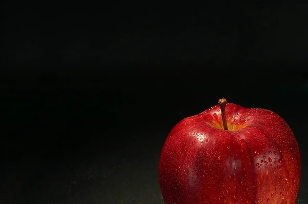 Красное влажное яблоко с каплями — стоковое фото