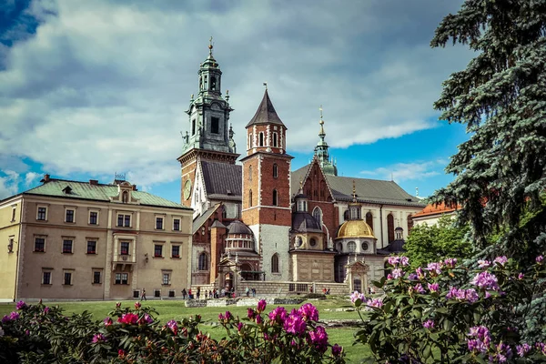 Wawel-Kathedrale in Krakau, Polen — Stockfoto