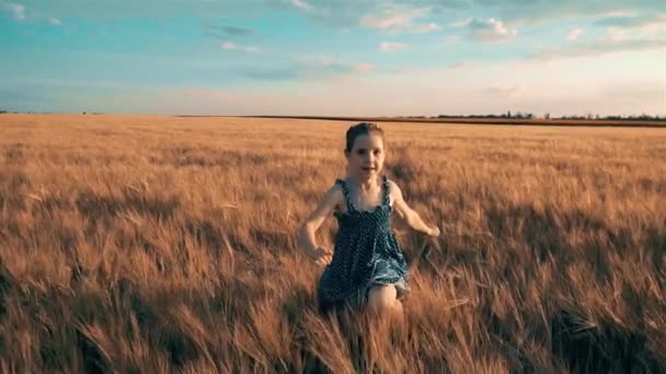 夏には スローモーションで畑に小麦にまたがる女の子 — ストック動画