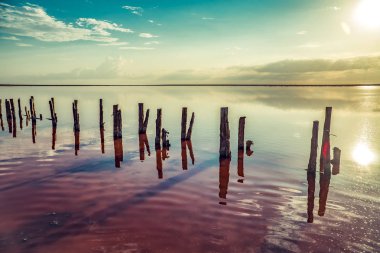 Sunset Bulvarında bir pembe Salt Lake, Sivash, Arabat tükürük