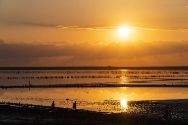 Sunset Bulvarında bir pembe Salt Lake, Sivash, Arabat tükürük