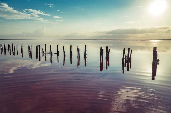 Sunset Bulvarında bir pembe Salt Lake, Sivash, Arabat tükürük