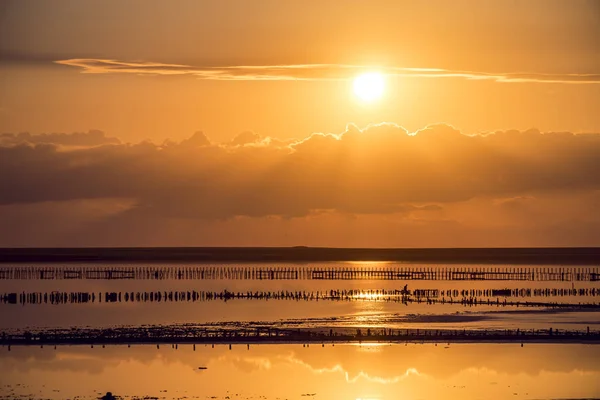 Sunset Bulvarında bir pembe Salt Lake, Sivash, Arabat tükürük