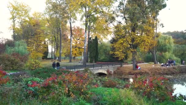 Мост и пруд в красочном осеннем парке — стоковое видео