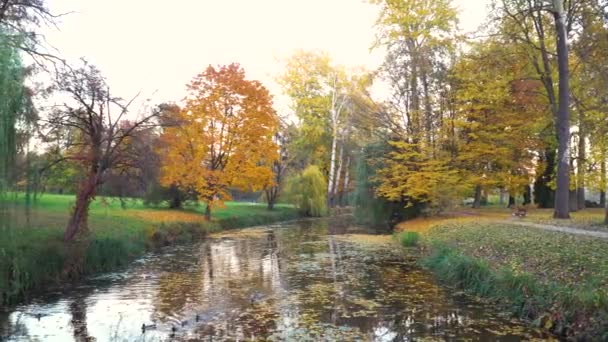 Most a rybník v barevné podzimní Park — Stock video