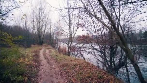 Sonbahar orman yoluyla Nehri boyunca yürümek — Stok video