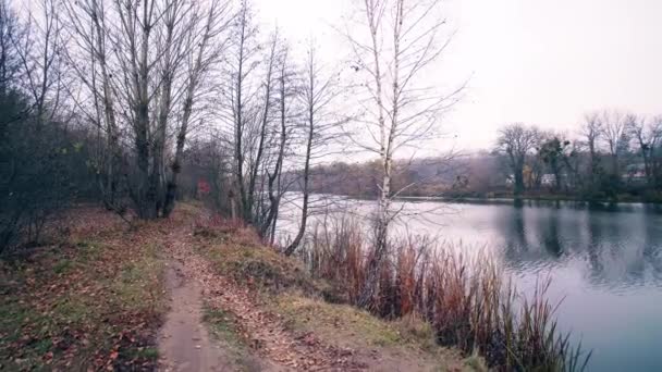 Sonbahar orman yoluyla Nehri boyunca yürümek — Stok video