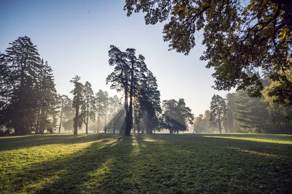 Sabahları sonbahar parkı