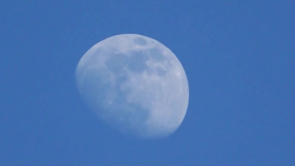 Lua no céu da noite — Vídeo de Stock