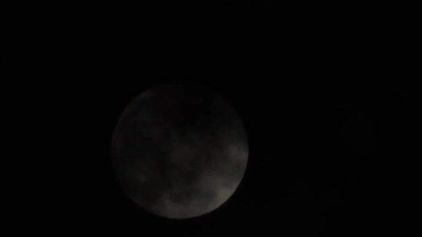 Pleine lune dans le ciel nocturne. Des nuages flottent le long de la lune — Video