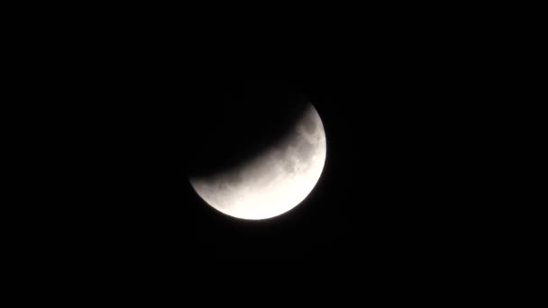 Lunar eclipse North hemisphere night — Stock Video