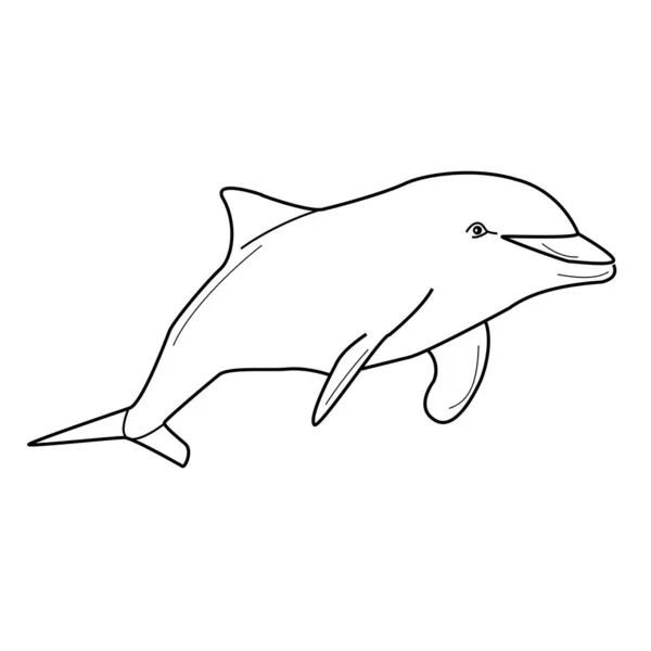 Dolphin Outline Vector Illustration Coloring Page Design Creativity — Stock Vector