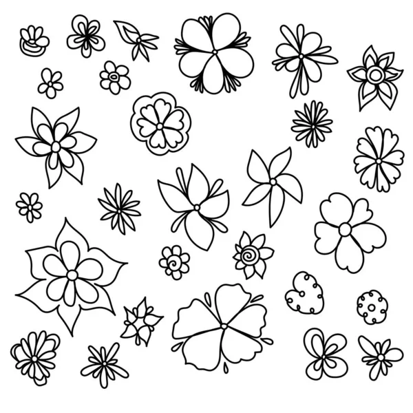 Zestaw Kwiatów Doodle Elemets Zarys Kwitnących Roślin Projektowania Kreatywności — Wektor stockowy