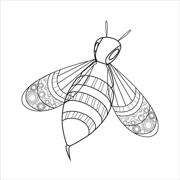 Vector Illustratie Van Een Wesp Schets Tekening Entomologisch Thema — Stockvector