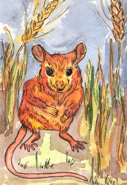 Harvest mouse in the field with spikelets, watercolor illustration for design and creativity.