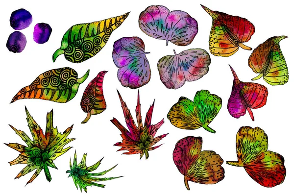 Folhas Outono Com Padrões Tinta Fantasia Aquarela Mão Drawvillustration Elementos — Fotografia de Stock