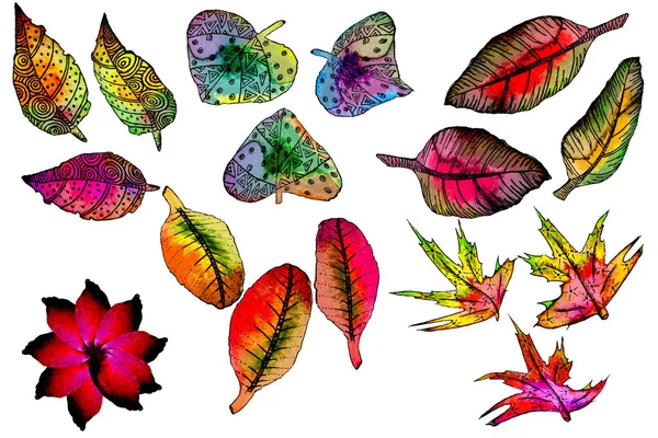 Mão Desenhar Folhas Aquarela Com Padrões Tinta Folha Outono Arte — Fotografia de Stock