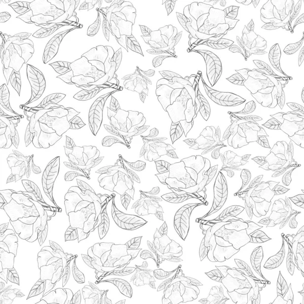 Fleur Magnolia Motif Sans Couture Croquis Noir Sur Fond Blanc — Photo